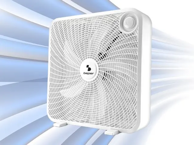 Beper Box Fan 50 cm