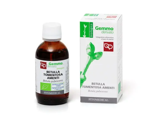 Betulla Tomentosa Amenti - Gemmoderivato - Fitomedical