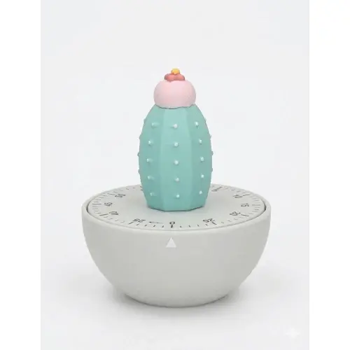 Brandani TIMER CACTUS COLORE grigio