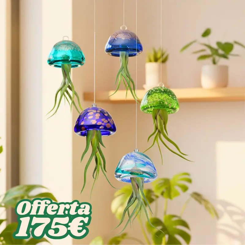 COLLEZIONE JELILY – Edizione Limitata 5 Colori