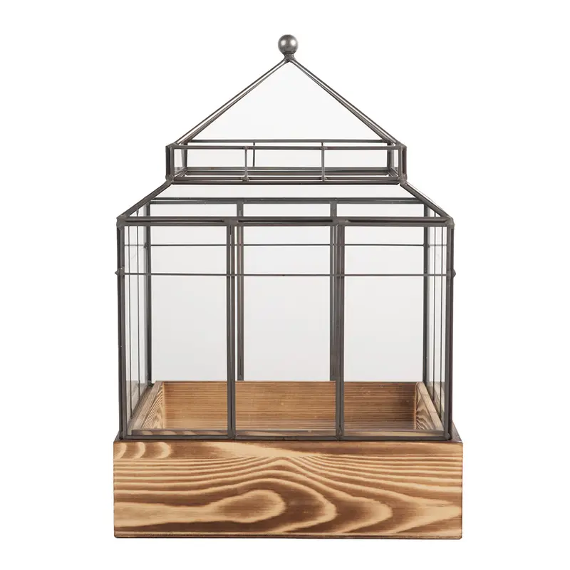 Contenitore per la propagazione decorativo 21x21x32 cm Trasparente Vetro