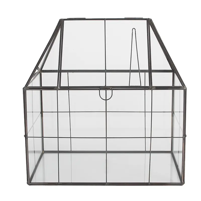 Contenitore per la propagazione decorativo 25x16x26 cm Trasparente Metallo