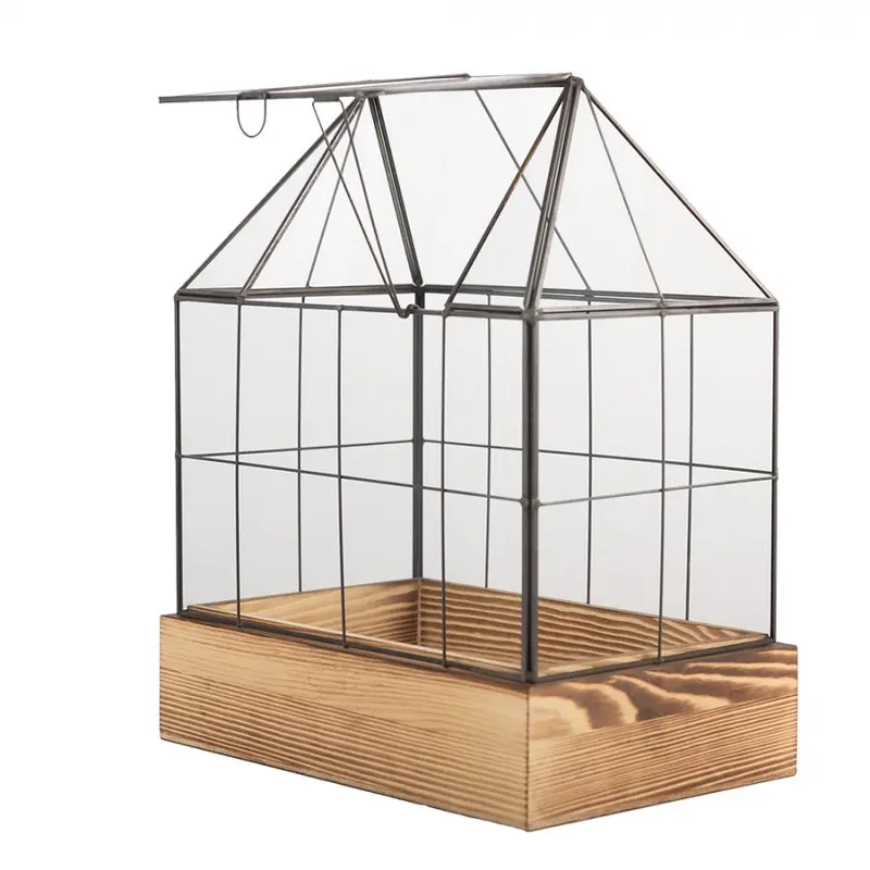 Contenitore per la propagazione decorativo 26x17x32 cm Trasparente Vetro