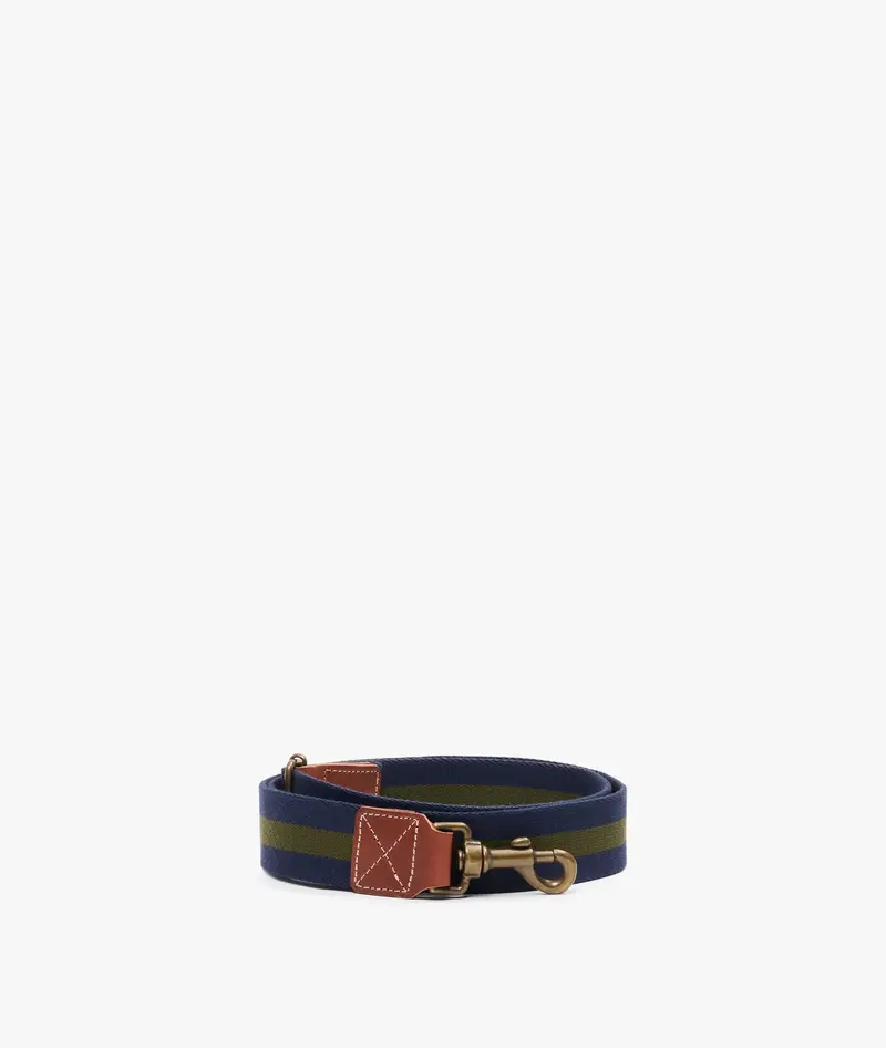 Dog Leash - Large Blue