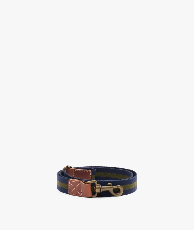 Dog Leash - Medium Blue
