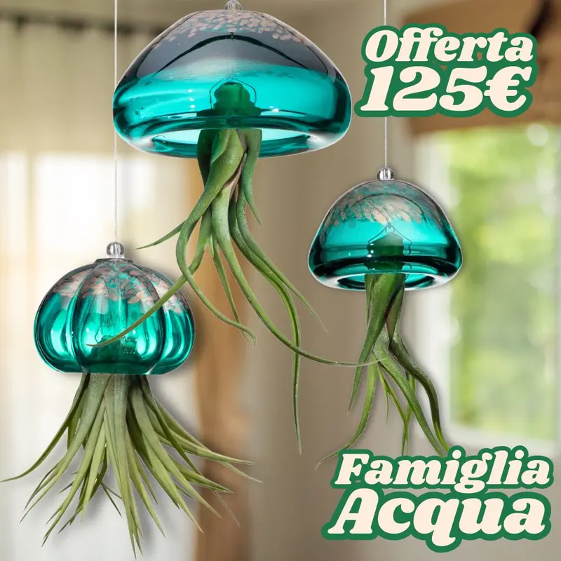 FAMIGLIE JELILY – 3 Porta Tillandsia