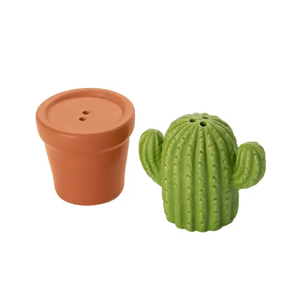 FISURA Set sale e pepe a forma di cactus