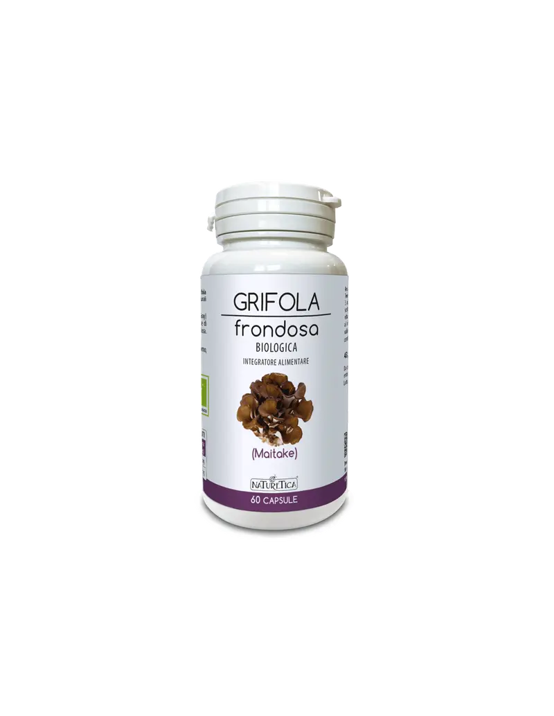 Grifola frondosa - Maitake - Naturetica