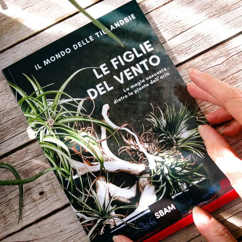 IL MONDO DELLE TILLANDSIE - Il Libro sulle Figlie del Vento