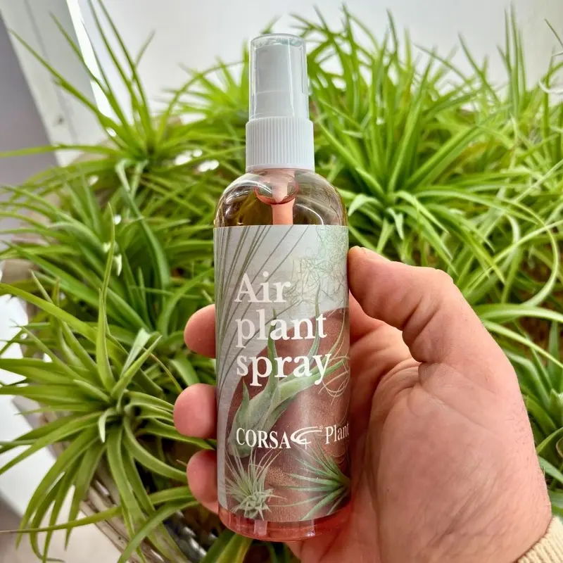 INTEGRATORE NUTRIENTE PER TILLANDSIA