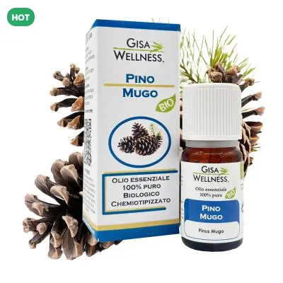 Olio Essenziale Biologico di Pino Mugo (Pinus Mugo) 10 ml