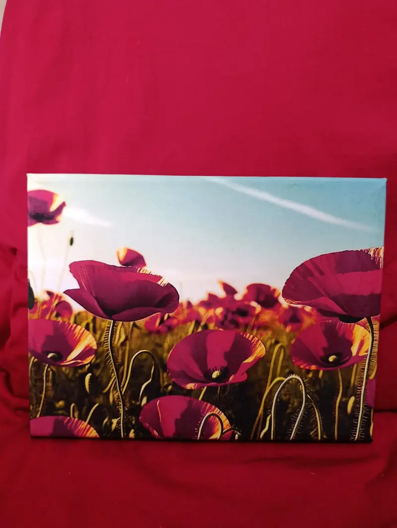 Papaveri 18x24 , stampa su tela .