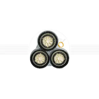 Set Carter Adattabile Setole/Pad Abrasivo PL515 Pecari