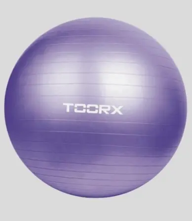 Toorx Palla da Ginnastica 75 cm Viola Antiscoppio con Pompa Inclusa