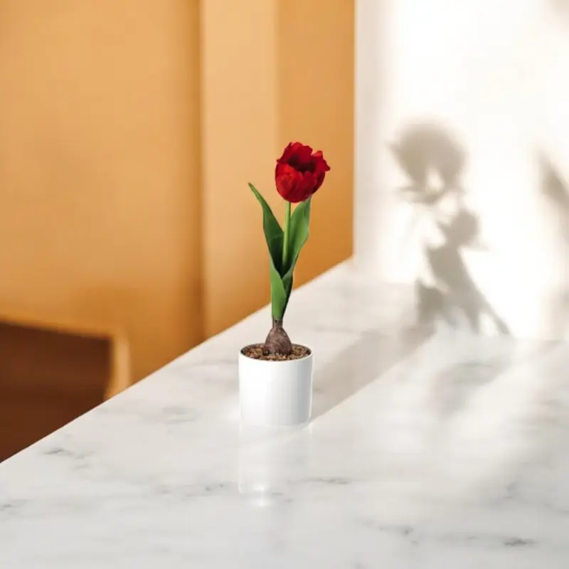 Vaso con Tulipano – 4 Colori Assortiti