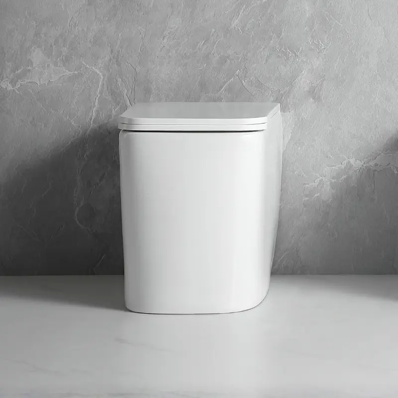 WC filo muro FT54D a pavimento in ceramica bianco 54x36x41.5H cm.