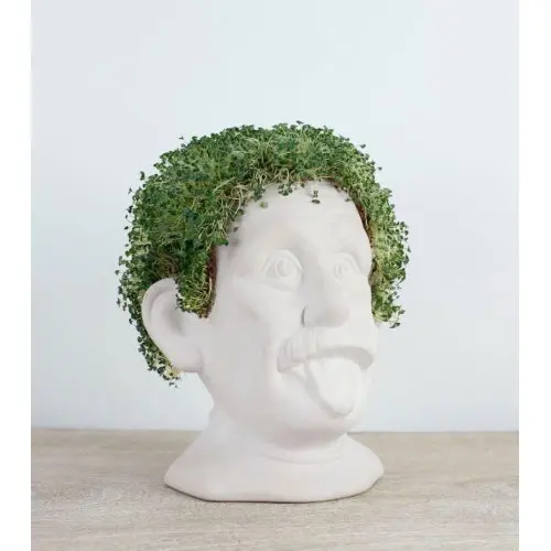 WINKEE Busto in ceramica per coltivare semi di chia
